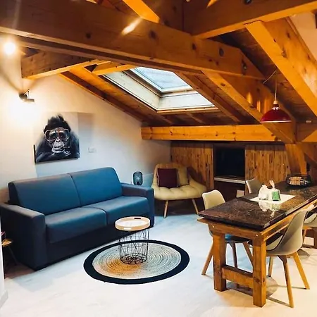 Perle Alpine Yourhosthelper Annecy